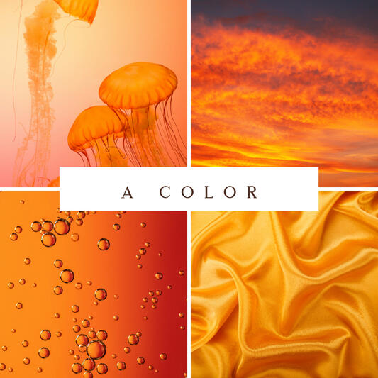 Collage of orange images