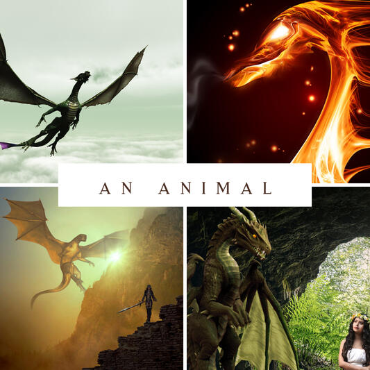 A collage of dragon images