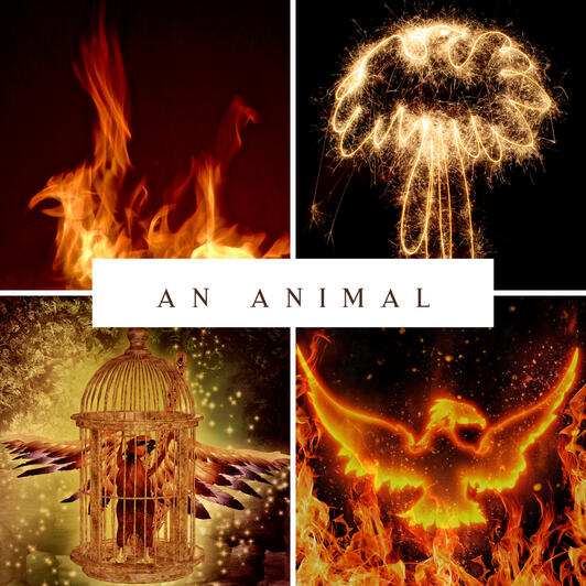 A collage of fiery phoenix images